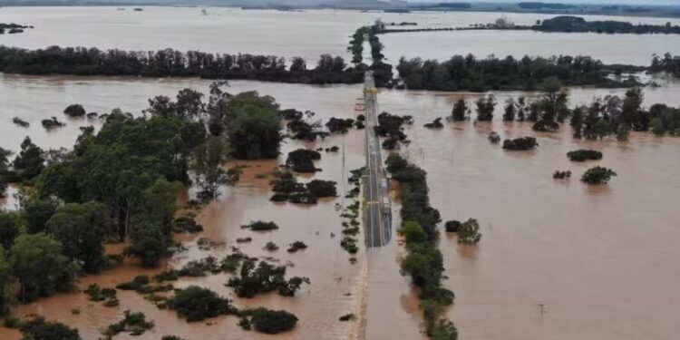 Perdas na pecuária alcançam R$ 167 milhões com as chuvas no RS