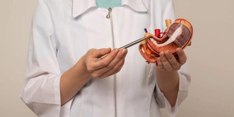 Balão intragástrico: como funciona e para quem é indicado?