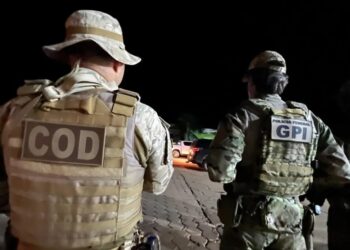 A FICCO cumpre 36 mandados de busca e apreensão em TO, GO e MA Divulgação/PF