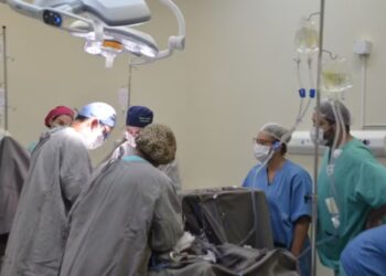 Adolescente tem morte encefálica e órgãos ajudam a mudar vida de cinco pessoas: veja como funciona transplante de órgãos