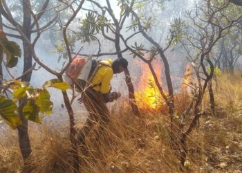 Edital abre inscrições para contratar brigadistas com salário de R$ 1,7 mil e benefício