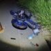 Motociclistas com menos de 25 anos são principais vítimas do trânsito em Palmas