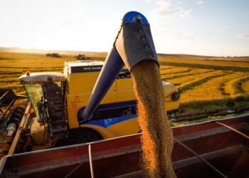 Preços do arroz sobem com força no Rio Grande do Sul