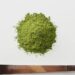 Pó de matcha, um tipo de chá verde
Yagi Studio/Getty Images