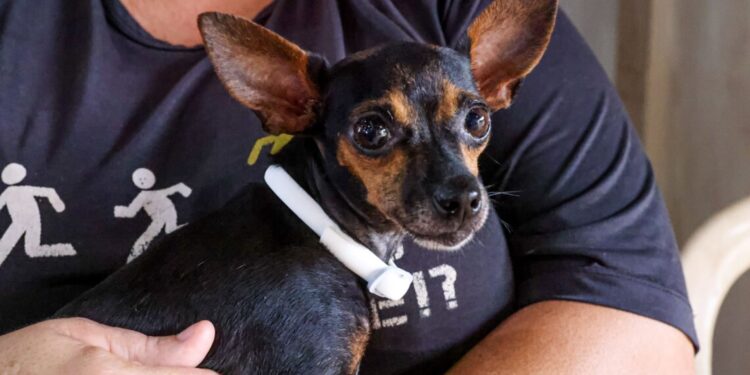 crédito foto: Juliana Carneiro/Secom Palmas