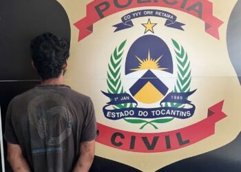 Suspeito de matar mulher com corte na garganta é preso — Foto: Divulgação/ Polícia Civil