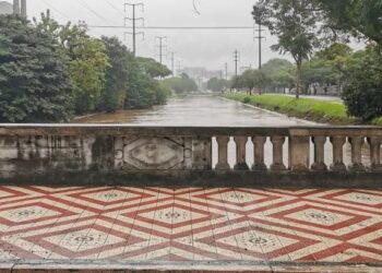 Crédito: RAFAEL ROSA/ENQUADRAR/ESTADÃO CONTEÚDO