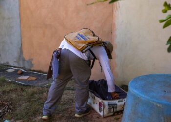 Semus destaca queda no número de infestação predial do Aedes em Palmas