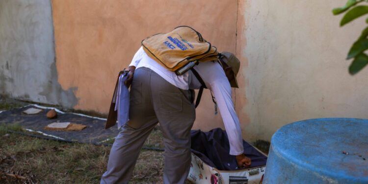 Semus destaca queda no número de infestação predial do Aedes em Palmas