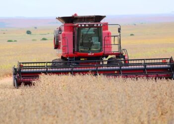 Produtores retomam colheita de soja no RS após redução das chuvas