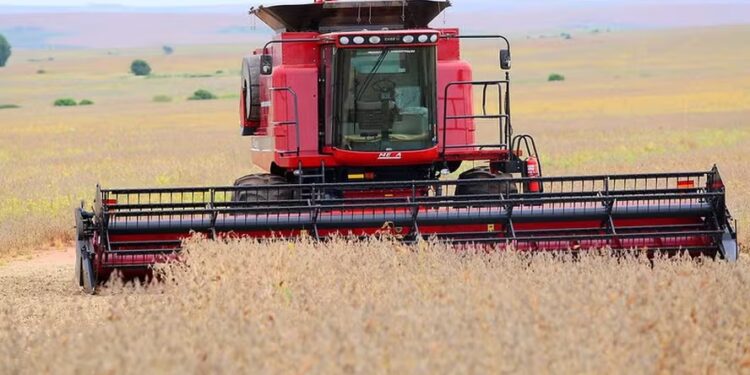 Produtores retomam colheita de soja no RS após redução das chuvas