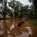 Enchente histórica em Porto Alegre: veja como está a cidade neste sábado (4)