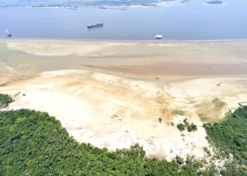Área afetada pela estiagem de 2023 no Amazonas Cadu Gomes/VPR