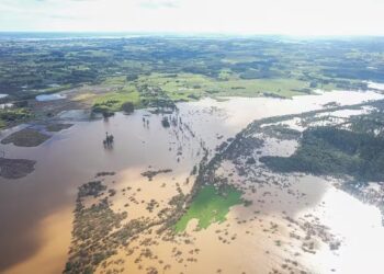 RS soma perdas de quase R$ 3 bilhões na agropecuária após enchentes