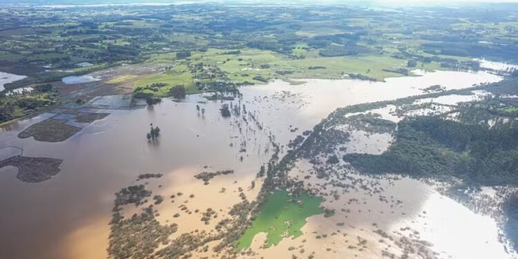 RS soma perdas de quase R$ 3 bilhões na agropecuária após enchentes