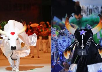 Bois Garantido e Caprichoso Lucas Silva e Alex Pazuello/Secom AM