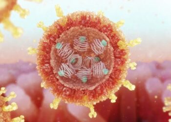 Ilustração mostra estrutura do rotavírus Nanoclustering/Science Photo Library