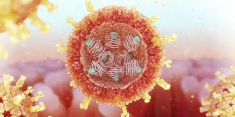 O que é rotavírus e como evitar a infecção