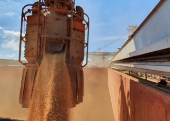 Preço da soja nos portos chegou aos maiores patamares do ano