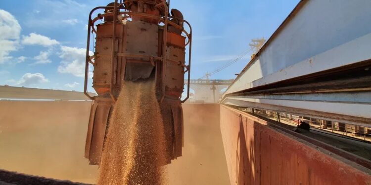 Preço da soja nos portos chegou aos maiores patamares do ano