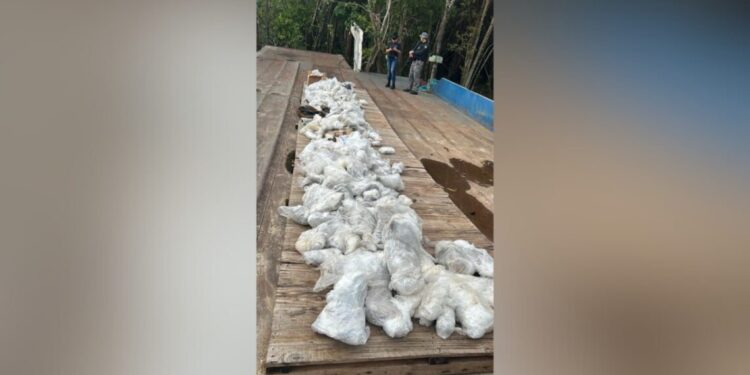 Polícia apreende quase uma tonelada de pedra do mineral vivianita no Amazonas