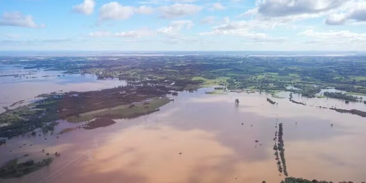 CNM calcula perdas de R$ 3,3 bilhões na agropecuária do RS após enchentes