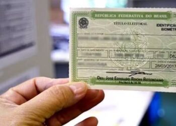 Título de eleitor no Tocantins — Foto: Divulgação/TRE-TO