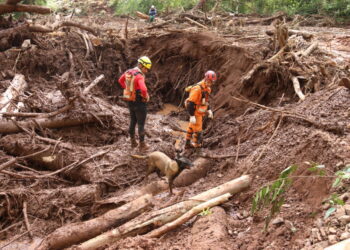 O Cabo Alef Teles, o Subtenente Raphael Mollo e a cadela Sky, na 1ª Etapa da Operação Rio Grande do Sul, em Bento Gonçalves - Luiz Henrique Machado/Governo do Tocantins