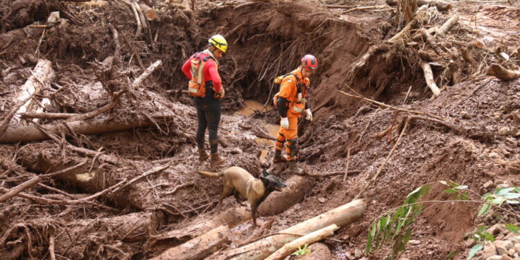No Rio Grande do Sul, bombeiros militares do Tocantins farão buscas por vítimas na zona rural de Lajeado