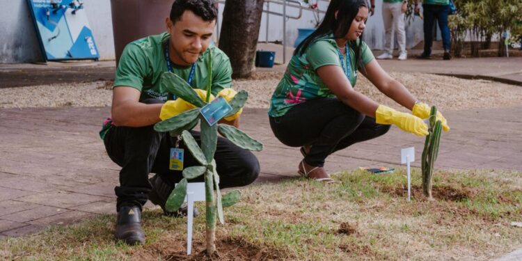 Ações de conscientização da BRK marcam Mês do Meio Ambiente no Tocantins e Pará