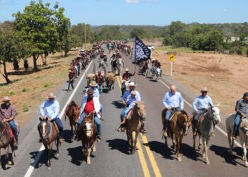 Créditos da imagem: Amanda Germiniani/Ascom A.C.