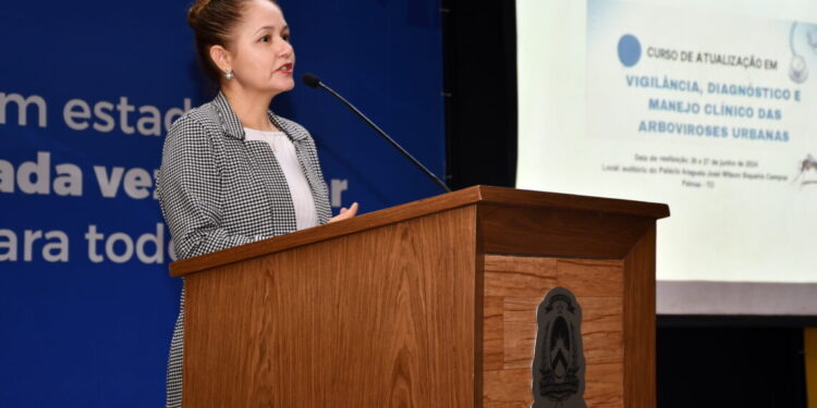 SES-TO realiza capacitação para diagnóstico e manejo clínico das arboviroses com os municípios da Macrorregião Centro Sul