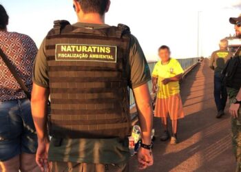 Fiscalização ambiental durante ação na ponte entre Palmas e o distrito de Luzimangues