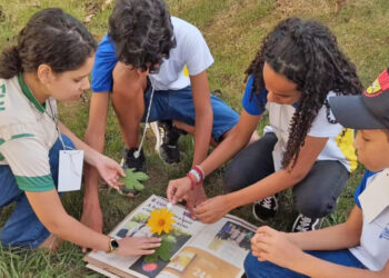 Estudantes da Escola Estadual Paroquial São Pedro analisando as amostras de plantas colhidas
