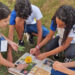 Estudantes da Escola Estadual Paroquial São Pedro analisando as amostras de plantas colhidas