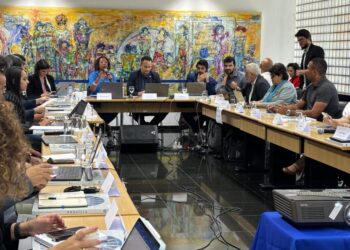 A secretária da Secretaria dos Comitês de Cultura, Roberta Martins, em fala durante a reunião do Fórum Nacional de Secretários e Dirigentes Estaduais de Cultura, em Brasília