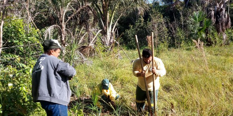 Estudantes de Araguacema e Caseara visitam sede do Parque Estadual do Cantão