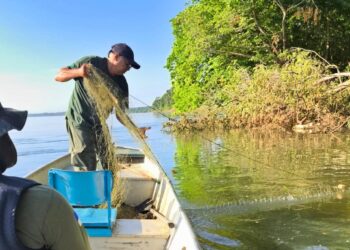 Operação Malha Fina do Naturatins apreende mais de 3 mil metros de redes de pesca