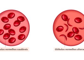 Para participar os interessados devem entrar no link: https://meet.google.com/vew-vudj-qvg.