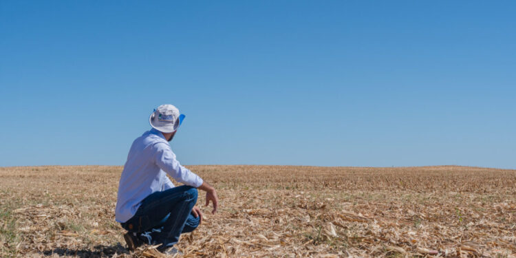 Governo do Tocantins anuncia período do vazio sanitário da soja a partir do dia 1º de julho