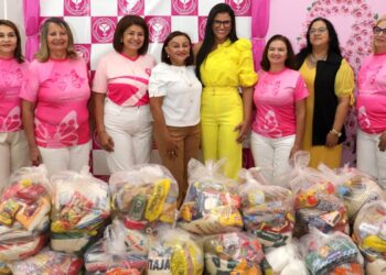 Primeira-dama encaminha doações à Liga Feminina de Prevenção e Combate ao Câncer do Tocantins (Loise Maria/Governo do Tocantins)