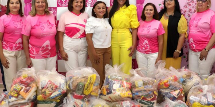Primeira-dama encaminha doações à Liga Feminina de Prevenção e Combate ao Câncer do Tocantins (Loise Maria/Governo do Tocantins)