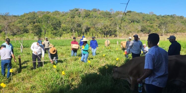 Com apoio do Governo do Tocantins, assistentes de produtores rurais recebem curso de manejo da irrigação e tratamento de dados para o uso sustentável dos recursos hídricos