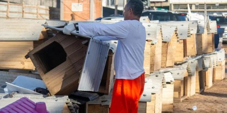 Presidiários e carcereiros atuam em abrigo para animais no RS