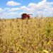 Brasil gasta mais do que concorrentes para produzir soja