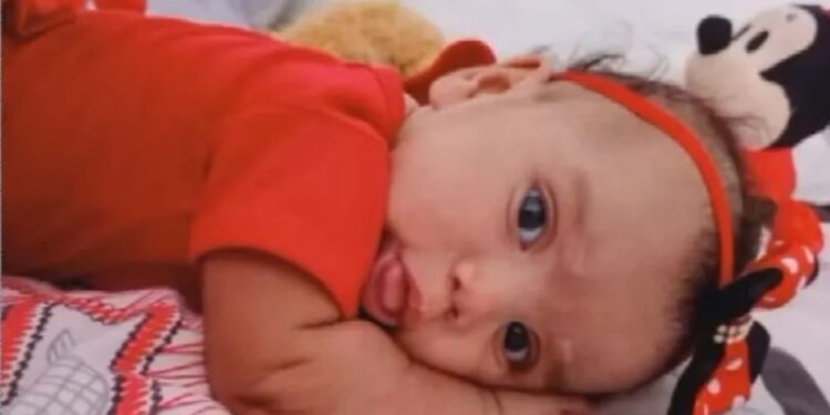 Bebê é morta após ser atacada por cachorro da família