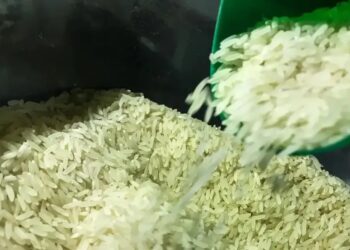 Entenda o leilão de arroz: governo pagou R$ 5 por quilo e vai vender a R$ 4