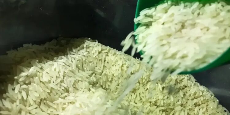 Entenda o leilão de arroz: governo pagou R$ 5 por quilo e vai vender a R$ 4