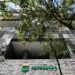 Conselho de Administração da Petrobras rejeita pedidos de convocação de Assembleia Geral Extraordinária