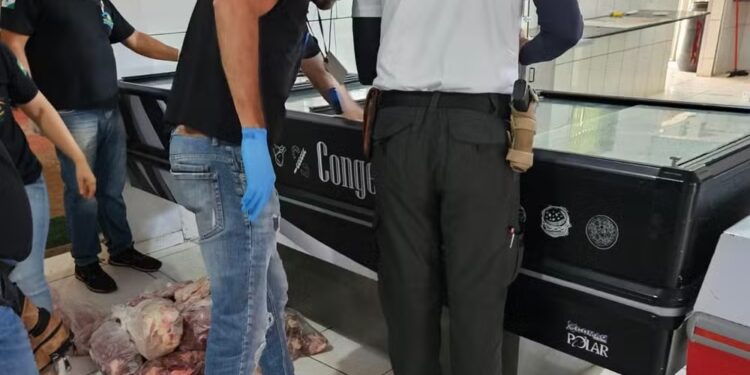 Mais de 300 kg de carnes impróprias para consumo são apreendidos e açougue de mercado é interditado